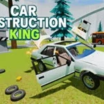 Car Destruction King