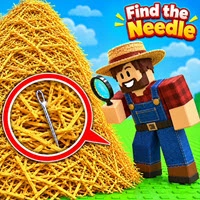 Find the Needle