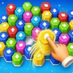 Hexa Arrows Puzzle