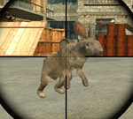 Rabbit Shooter